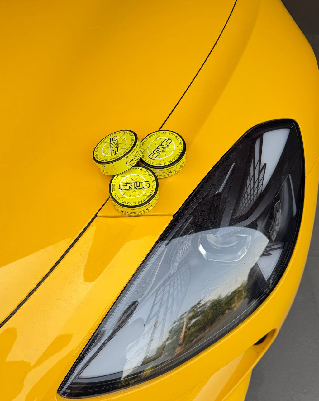 Citrus
